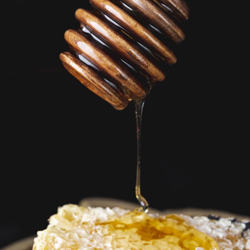 Miel Tarro de Miel 1